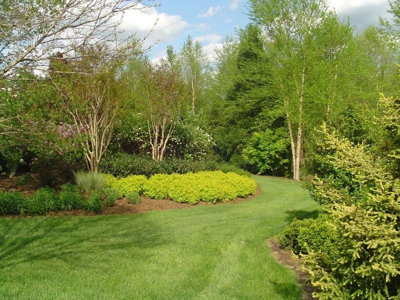 residential landscaping garden
