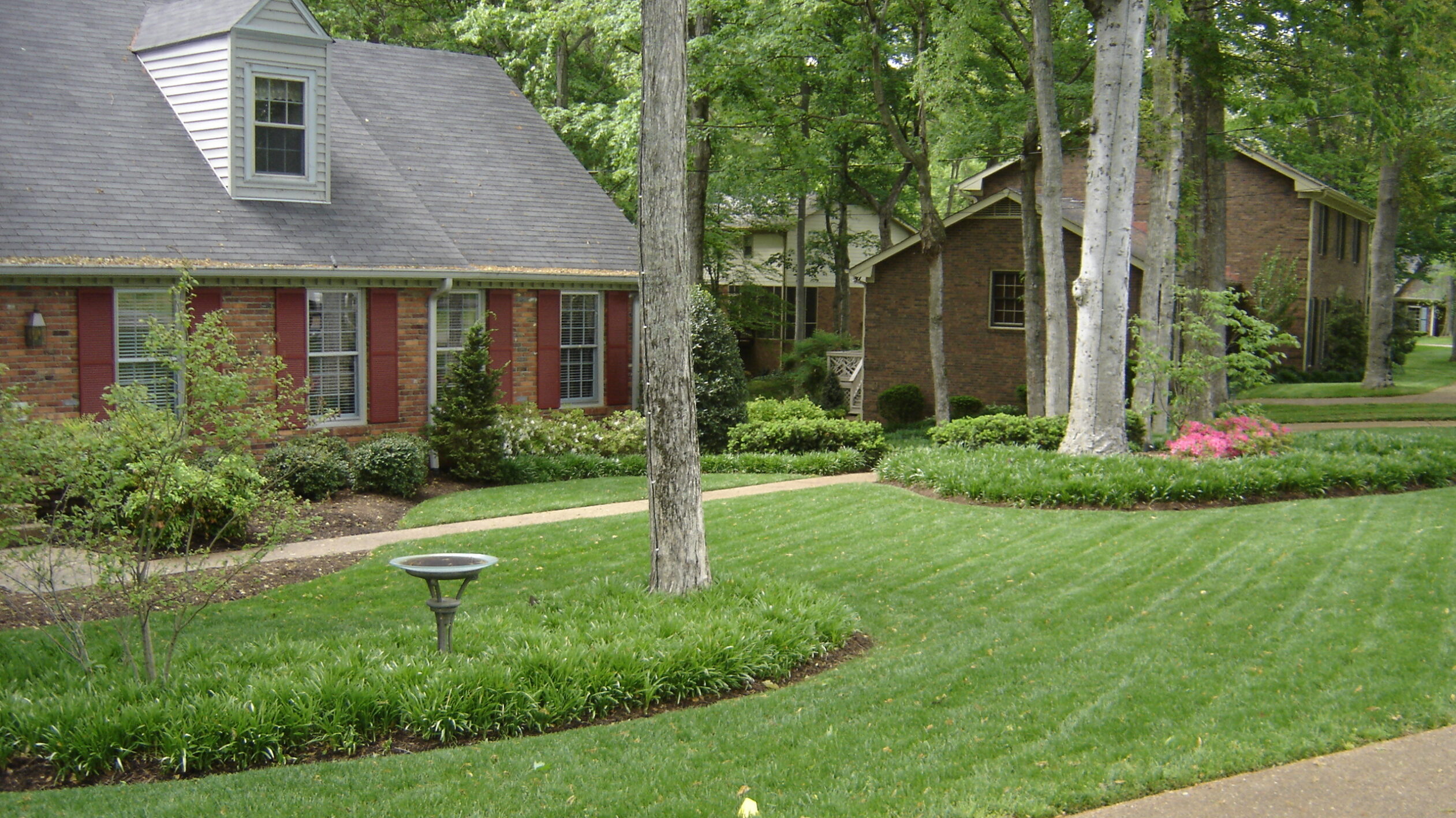 Crew removing fallen leaves from a commercial lawn